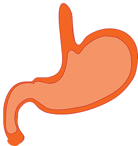 Stomach Flu
